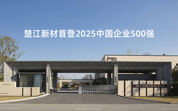 楚江新材首登2025中國企業(yè)500強
